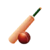क्रिकेट icon